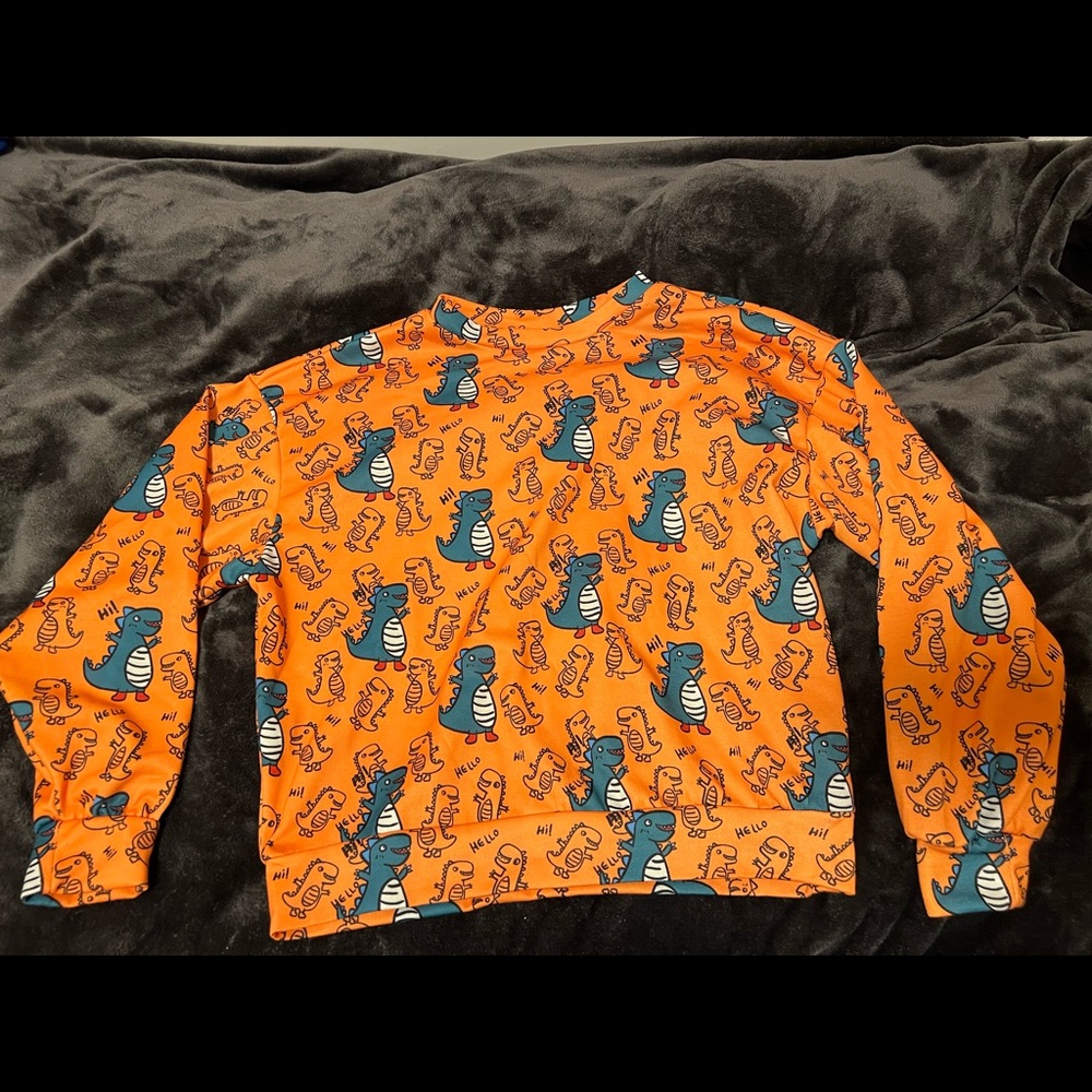 Pullover / hoodie XS